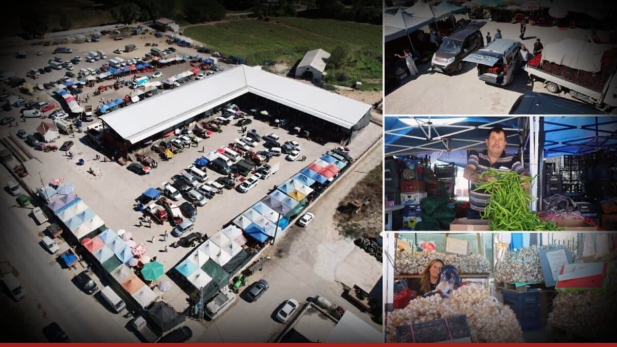 Tarladan tezgaha 10 dakika: Aracıları çıkaran ürün toplama merkezi model oluyor