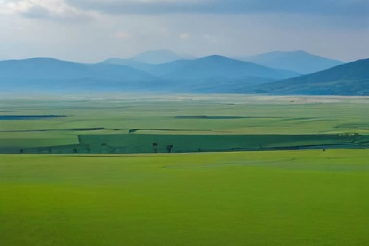 Karaman'da bir arılıkta sıralanmış çok sayıda ahşap arı kovanı ve arka planda bozkır manzarası.